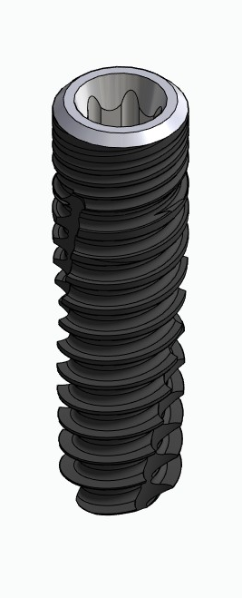 BIONIKA ECOPLANT, Implant