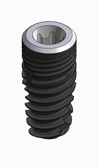 BIONIKA ECOPLANT, Implant