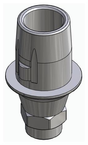 BIONIKA ECOPLANT, Titanium base, positioned