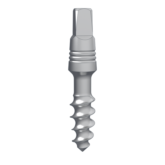 BNK-STL-506210030100