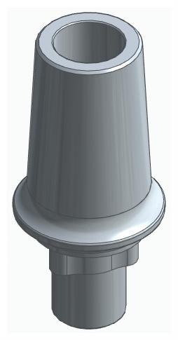 BIONIKA RP, Anatomic abutment, straight, positioned