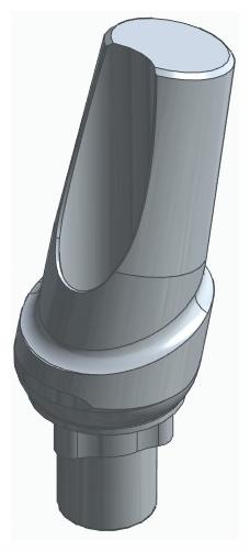 BIONIKA RP, Anatomic abutment, angled, 15°, positioned, type-A