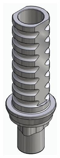 BIONIKA RP, Temporary abutment, implant level, positioned