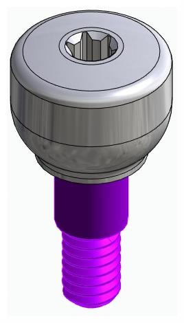 BIONIKA RP, Healing abutment, anatomical
