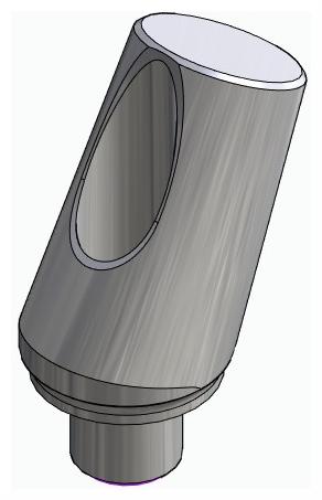 BIONIKA RP, Narrow abutment, angled, positioned, type-A