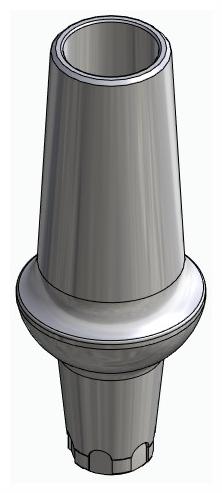 BIONIKA CX, Anatomic abutment, straight, positioned