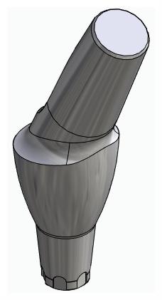 BIONIKA CX, Anatomic abutment, angled, 25°, positioned, type-A