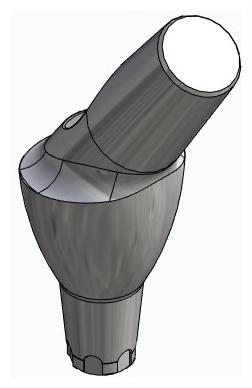 BIONIKA CX, Anatomic abutment, angled, 35°, positioned, type-A