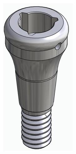 BIONIKA CX, Locator abutment, straight