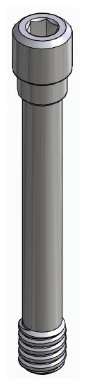 BIONIKA CX, Scanbody through screw
