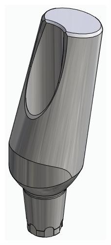 BIONIKA CX, Universal abutment, angled, positioned, type-A
