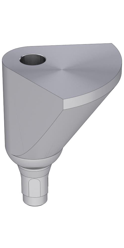 BIONIKA Bonelit Delta abutment, positioned