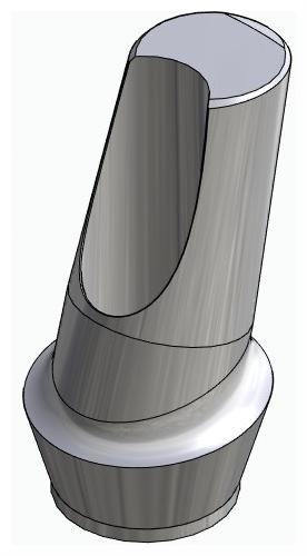 BIONIKA BR, Anatomic abutment, angled, 15°, positioned, type-A
