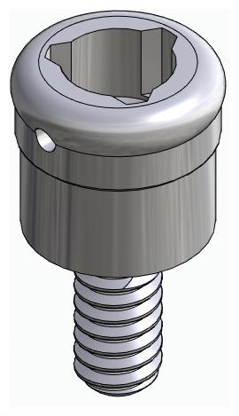 BIONIKA BR, Locator abutment, straight