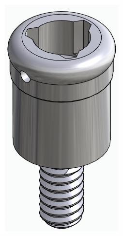 BIONIKA BR, Locator abutment, straight