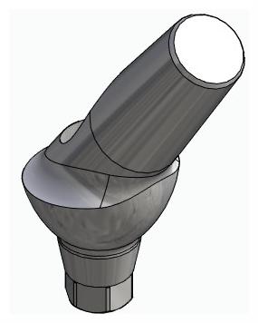 BIONIKA AS, Anatomic abutment, angled, 35°, positioned, type-A