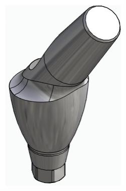 BIONIKA AS, Anatomic abutment, angled, 35°, positioned, type-A