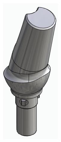 BIONIKA CORTILOG PCL, Anatomic abutment, angled, 15°, positioned, type-B