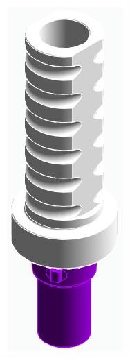BIONIKA CORTILOG PCL, Temporary abutment, implant level, positioned