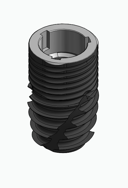 BIONIKA CORTILOG PCL, Implant
