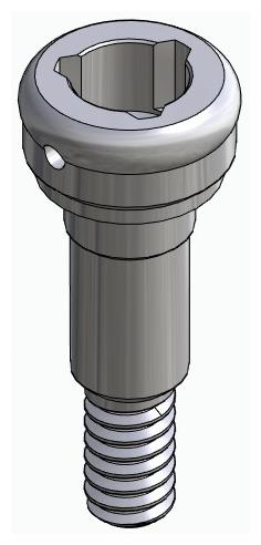 BIONIKA CORTILOG PCL, Locator abutment, straight