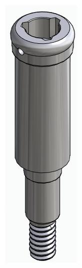 BIONIKA CORTILOG PCL, Locator abutment, straight