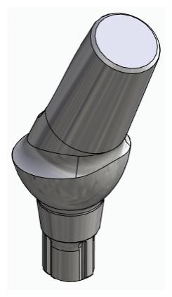 BIONIKA CORTILOG CCL, Anatomic abutment, angled, 25°, positioned, type-B
