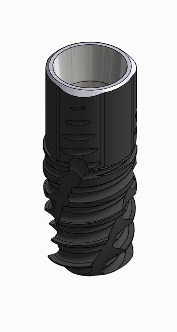 BIONIKA CORTILOG CCL, Implant