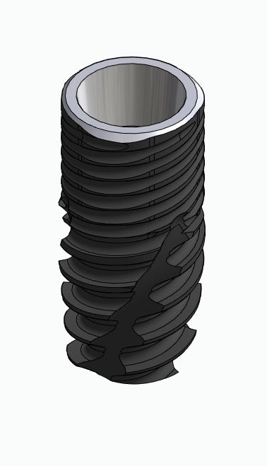 BIONIKA CORTILOG CCL, Implant