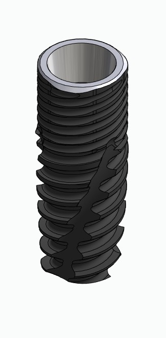 BIONIKA CORTILOG CCL, Implant