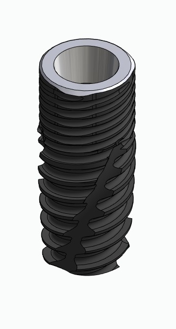 BIONIKA CORTILOG CCL, Implant