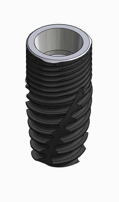BIONIKA CORTILOG CCL, Implant