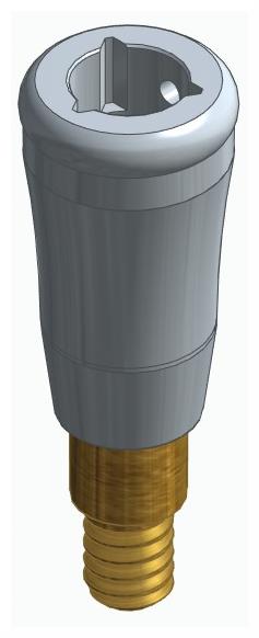 BIONIKA CORTILOG CCL, Locator abutment, straight