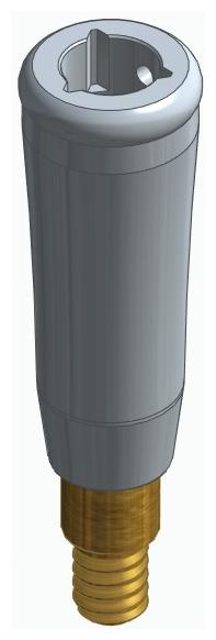 BIONIKA CORTILOG CCL, Locator abutment, straight