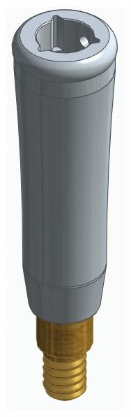 BIONIKA CORTILOG CCL, Locator abutment, straight