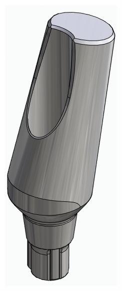 BIONIKA CORTILOG CCL, Universal abutment, angled, positioned, type-B