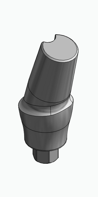 BIONIKA SI, Anatomic abutment, angled, 15°, positioned, type-A