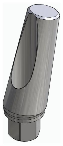 BIONIKA SI, Narrow abutment, angled, positioned, type-A