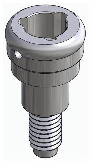 BIONIKA SI, Locator abutment, straight