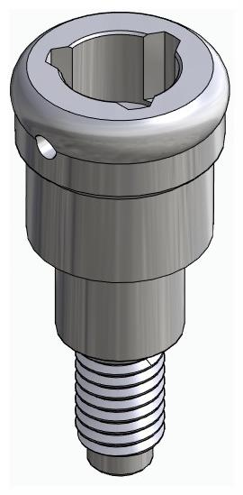 BIONIKA SI, Locator abutment, straight