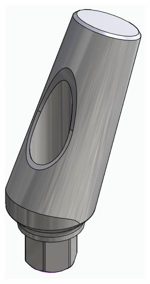 BIONIKA SI, Universal abutment, angled, positioned, type-A