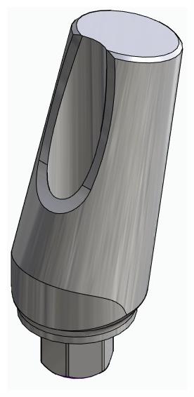 BIONIKA SI, Universal abutment, angled, positioned, type-A