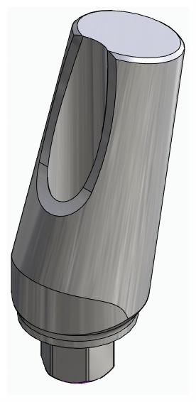 BIONIKA SI, Universal abutment, angled, positioned, type-B