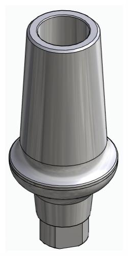 BIONIKA AG, Anatomic abutment, straight, positioned