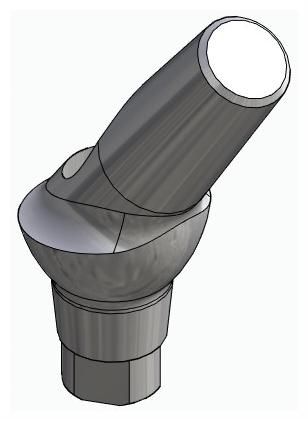 BIONIKA AG, Anatomic abutment, angled, 35°, positioned, type-B