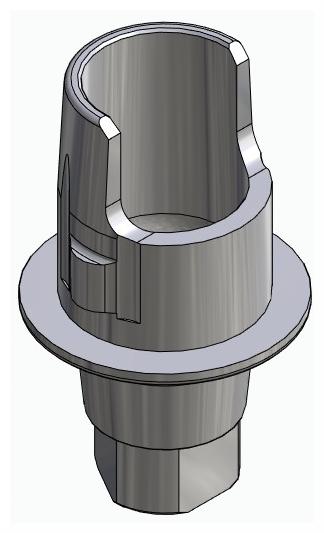 BIONIKA AG, Flexi base, implant level, positioned, type-A