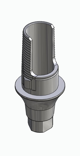 BIONIKA AG, Flexi base, implant level, positioned, type-A