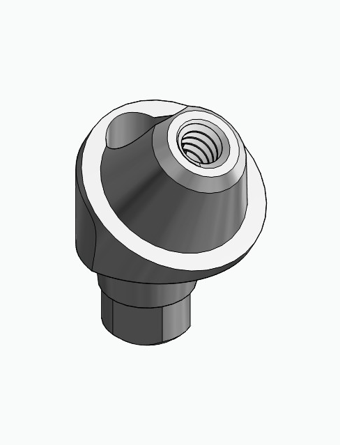 BIONIKA AG, Multi-unit abutment, angled, positioned, wide, LT2, type-B