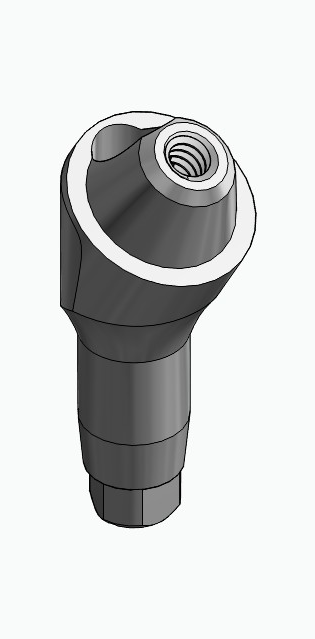 BIONIKA AG, Multi-unit abutment, angled, positioned, wide, LT2, type-B