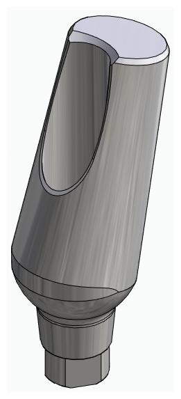 BIONIKA AG, Universal abutment, angled, positioned, type-A